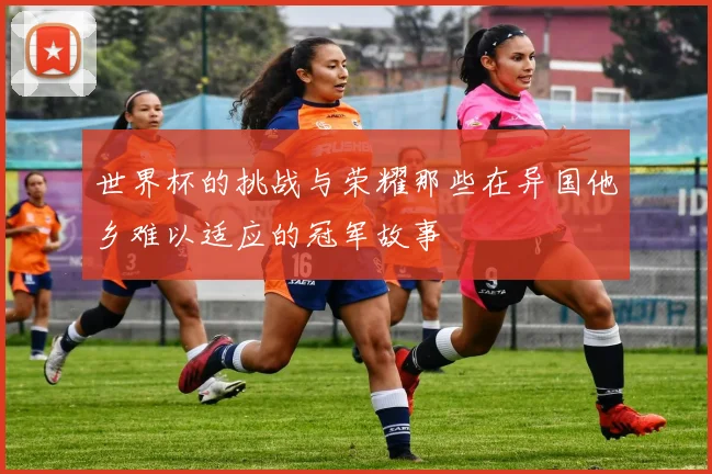 世界杯的挑战与荣耀那些在异国他乡难以适应的冠军故事